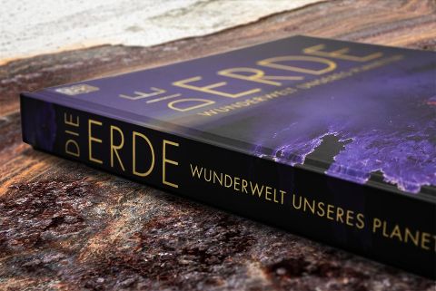 InsideView 10