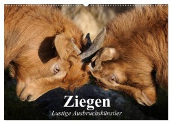 Cover-Bild zum Titel 'Ziegen. Lustige Ausbruchskünstler (Wandkalender 2026 DIN A2 quer), CALVENDO Monatskalender' von 'Elisabeth Stanzer'