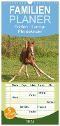 Familienplaner 2024 - Fohlen - Lustige Pferdekinder mit 5 Spalten (Wandkalender, 21 x 45 cm) CALVENDO - Meike Bölts