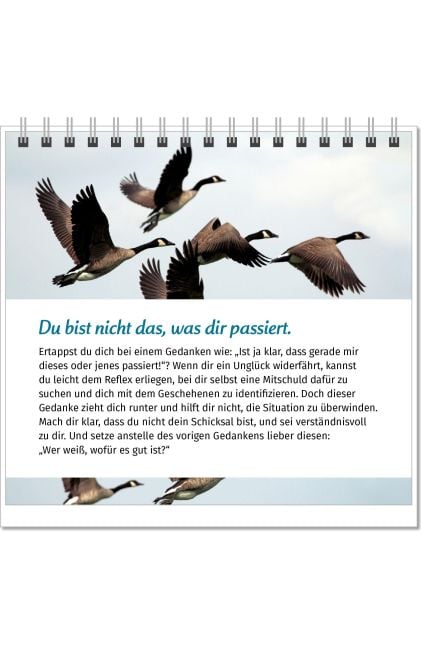 InsideView 8