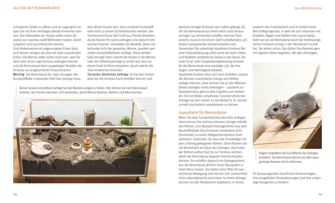 InsideView 4