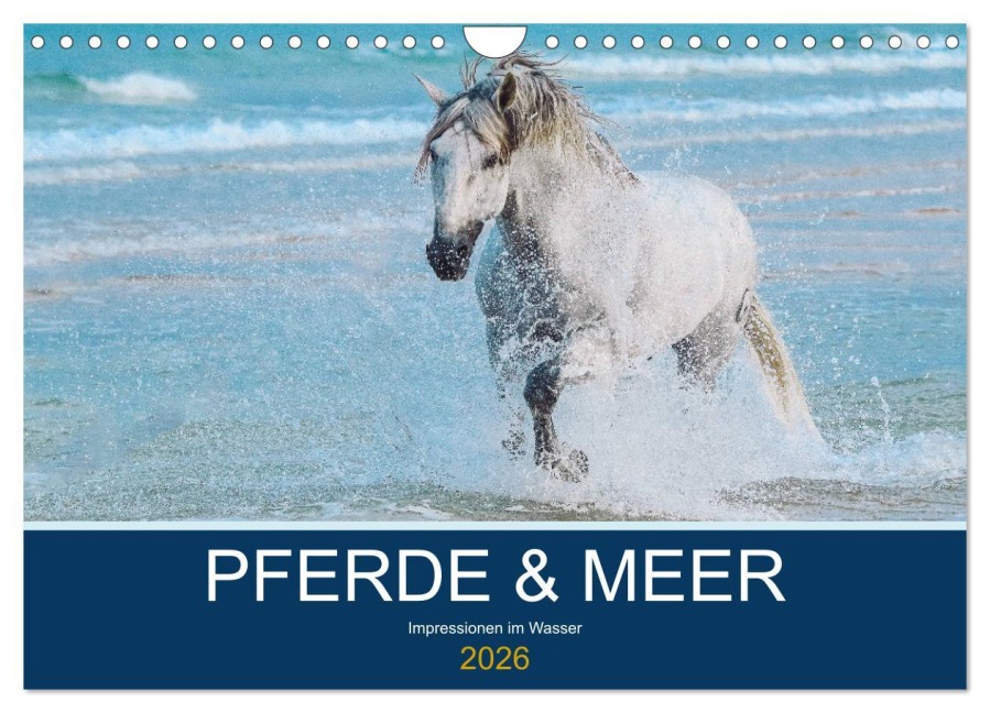 PFERDE & MEER (Wandkalender 2026 DIN A4 quer), CALVENDO Monatskalender - Petra Eckerl Tierfotografie