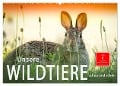 Unsere Wildtiere - scheu und schön (Wandkalender 2024 DIN A2 quer), CALVENDO Monatskalender - Peter Roder