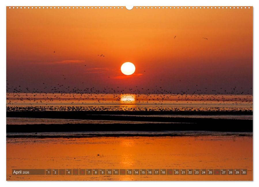 InsideView 8