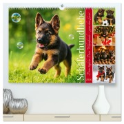 Schäferhundliebe - Deine tägliche Dosis Welpenfreude - ganz ohne Gassi. (hochwertiger Premium Wandkalender 2026 DIN A2 quer), Kunstdruck in Hochglanz - Fred Schimak