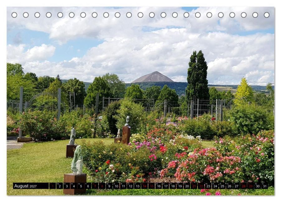 InsideView 13