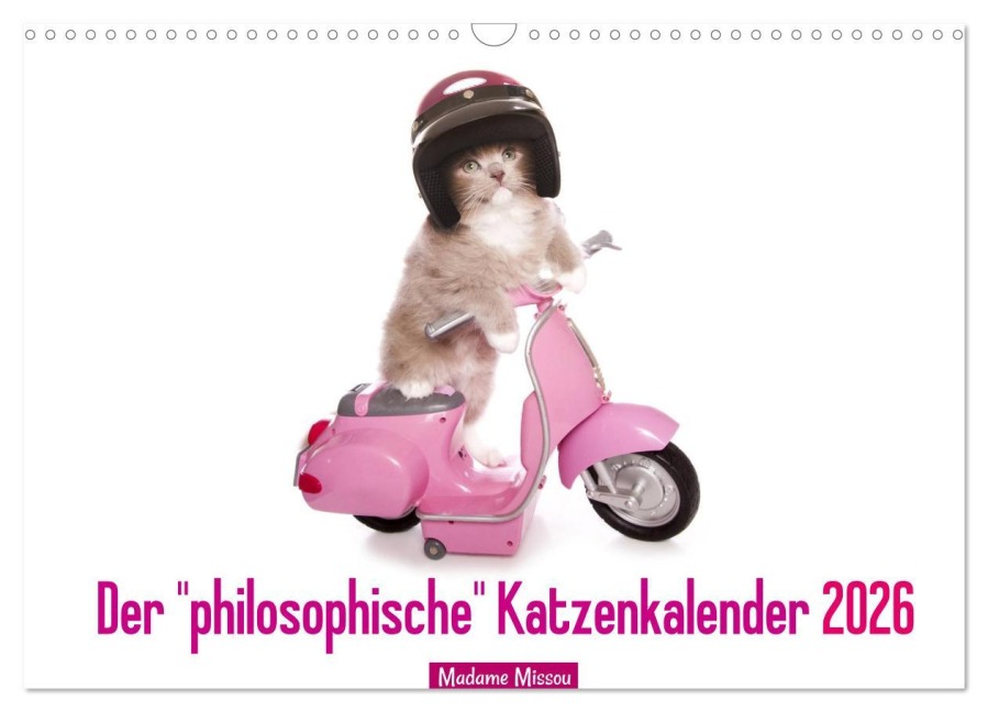 Der "philosophische" Katzenkalender 2026 (Wandkalender 2026 DIN A3 quer), CALVENDO Monatskalender - Madame Missou