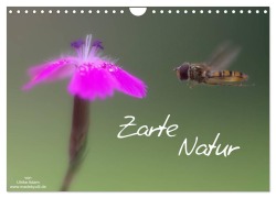 Cover-Bild zum Titel 'Zarte Natur 2026 (Wandkalender 2026 DIN A4 quer), CALVENDO Monatskalender' von 'Ulrike Adam'