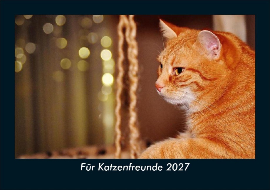 Für Katzenfreunde 2027 Fotokalender DIN A5 - Tobias Schmitt, Kevin Heber