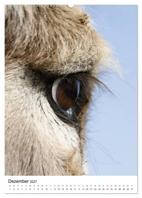 InsideView 4