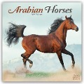 Arabians - Araber - Araber Pferde 2025 - 16-Monatskalender - Avonside Publishing Ltd