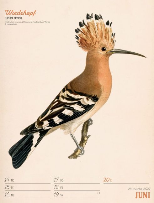 InsideView 28