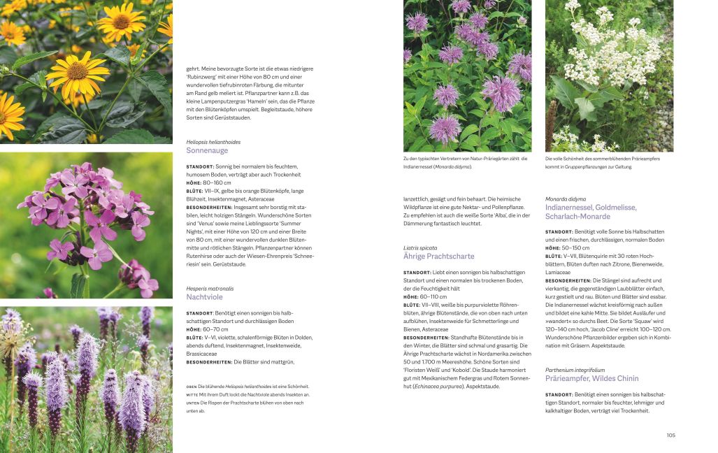 InsideView 5
