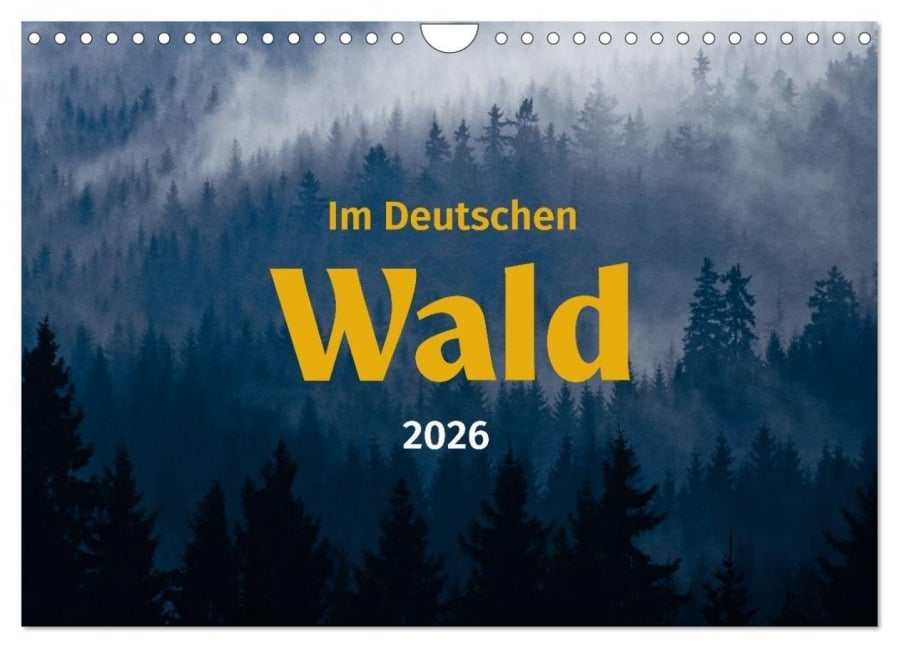 Im Deutschen Wald (Wandkalender 2026 DIN A4 quer), CALVENDO Monatskalender - Volker Müther www. waldwerke. com