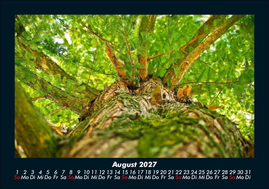 InsideView 12