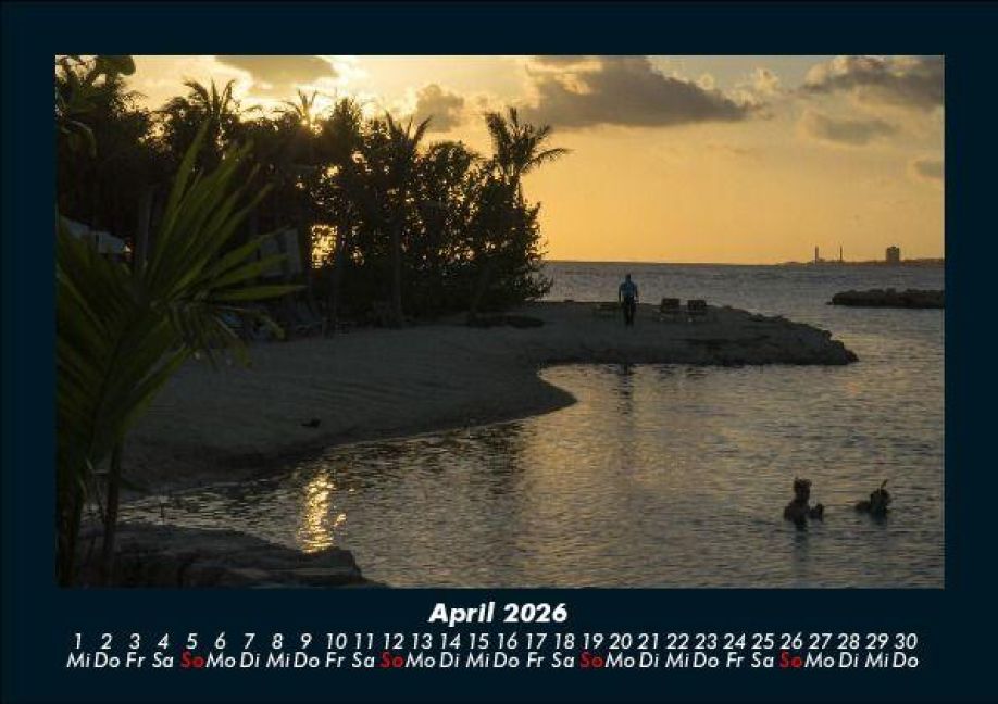 InsideView 8