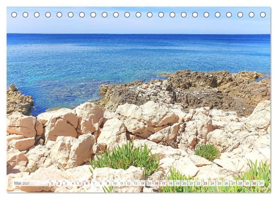 InsideView 10
