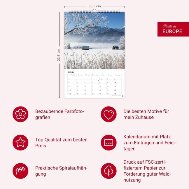 InsideView 13