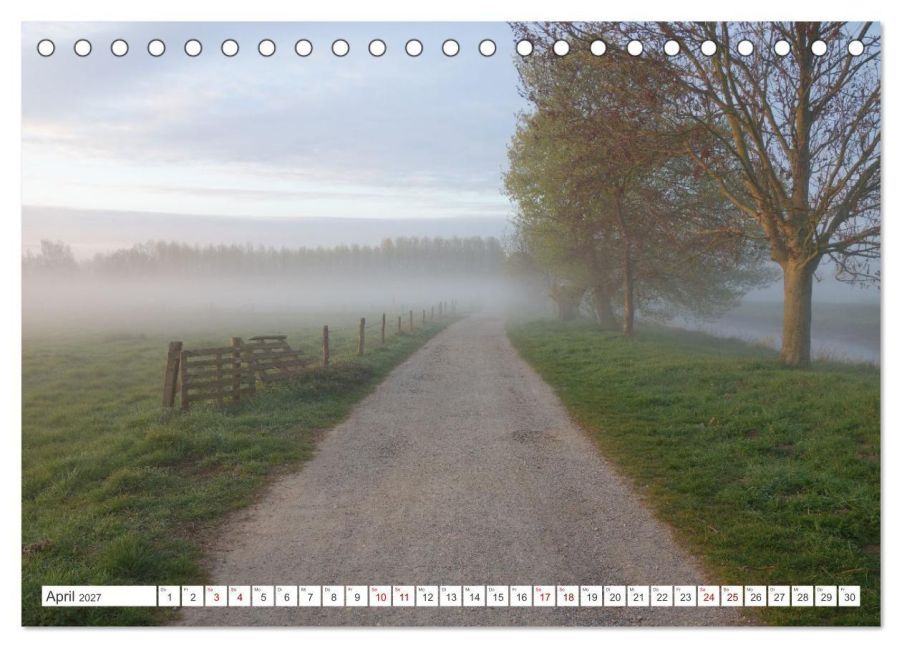 InsideView 9