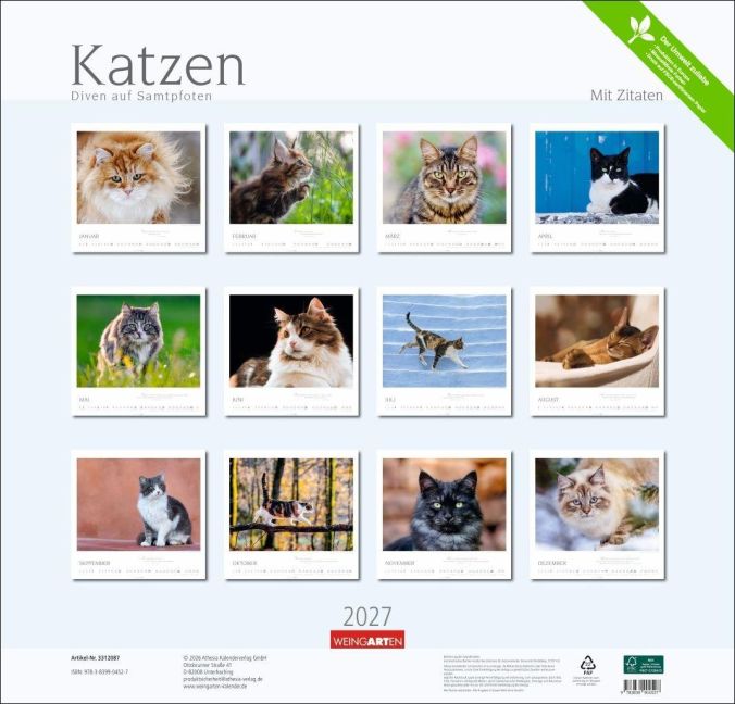 InsideView 15