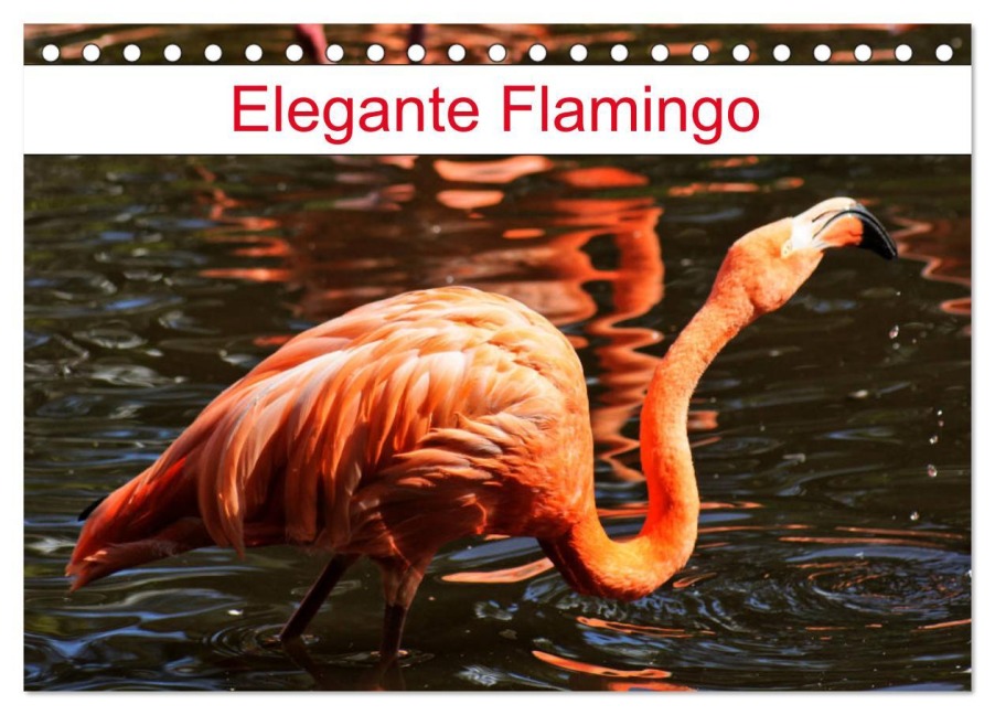 Elegante Flamingo (Tischkalender 2026 DIN A5 quer), CALVENDO Monatskalender - Kattobello Kattobello