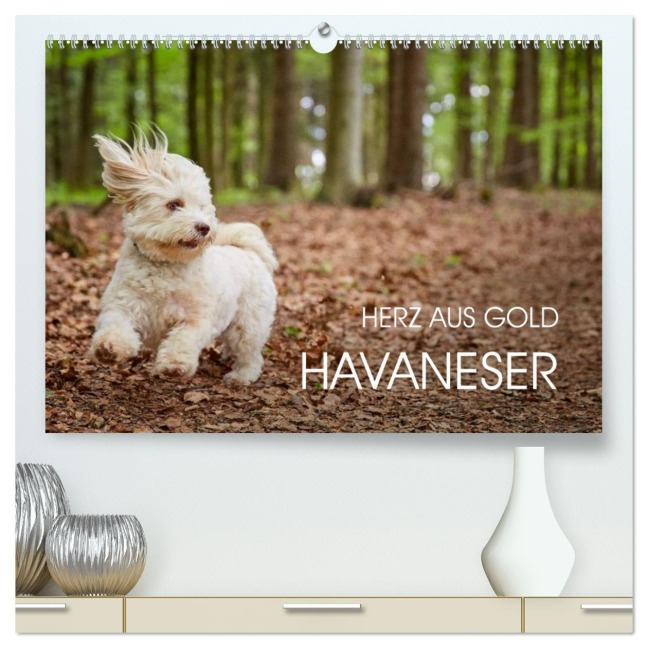 Havaneser - Herz aus Gold (hochwertiger Premium Wandkalender 2026 DIN A2 quer), Kunstdruck in Hochglanz - Peter Mayer