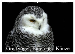 Cover-Bild zum Titel 'Greifvögel, Eulen und Käuze (Wandkalender 2026 DIN A2 quer), CALVENDO Monatskalender' von 'Arno Klatt'