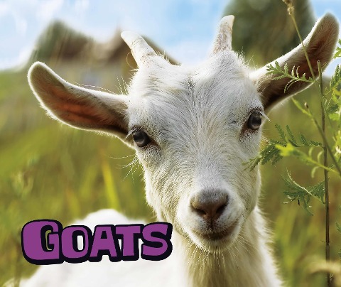 Goats - Kathryn Clay