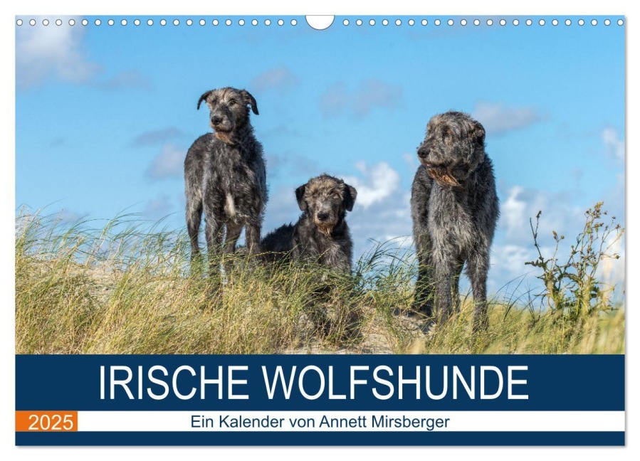 Irische Wolfshunde (Wandkalender 2025 DIN A3 quer), CALVENDO Monatskalender - Annett Mirsberger