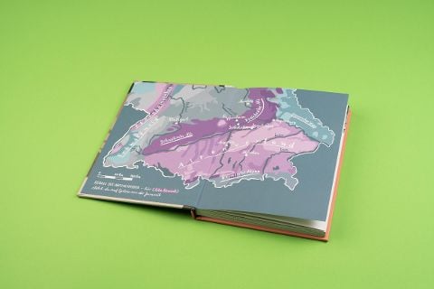 InsideView 8