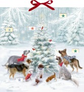 Cover-Bild zum Titel 'Zettel-Adventskalender - Weihnachten auf vier Pfoten' von 'Susan Niessen'