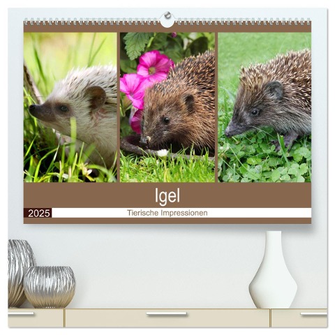 Igel 2025. Tierische Impressionen (hochwertiger Premium Wandkalender 2025 DIN A2 quer), Kunstdruck in Hochglanz - Steffani Lehmann (Hrsg.