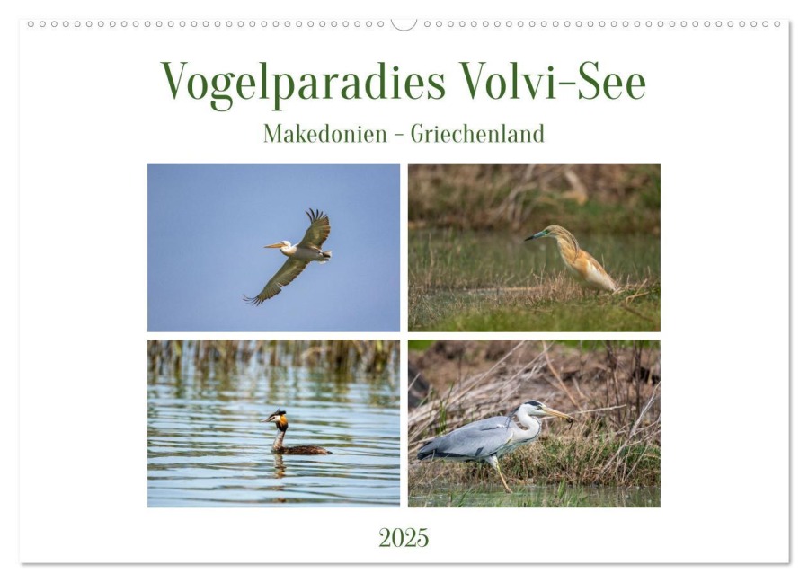 Vogelparadies Volvi-See (Wandkalender 2025 DIN A2 quer), CALVENDO Monatskalender - Ursula Di Chito