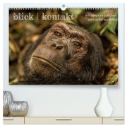Cover-Bild zum Titel 'blick kontakt mit tieren im östlichen und südlichen afrika (hochwertiger Premium Wandkalender 2026 DIN A2 quer), Kunstdruck in Hochglanz' von 'Rsiemer Rsiemer'