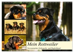 Mein Rottweiler. Nervenstarker Gebrauchs- und Begleithund (Wandkalender 2025 DIN A3 quer), CALVENDO Monatskalender - Rose Hurley