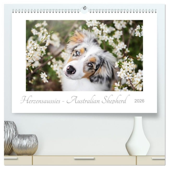 Herzensaussies - Australian Shepherd (hochwertiger Premium Wandkalender 2026 DIN A2 quer), Kunstdruck in Hochglanz - Madlen Kudla