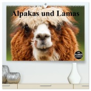 Cover-Bild zum Titel 'Alpakas und Lamas (hochwertiger Premium Wandkalender 2026 DIN A2 quer), Kunstdruck in Hochglanz' von 'Elisabeth Stanzer'