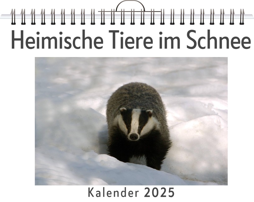 Heimische Tiere im Schnee - Noah König