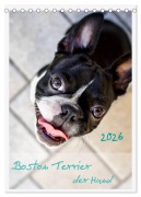 Cover-Bild zum Titel 'Boston Terrier der Hund 2026 (Tischkalender 2026 DIN A5 hoch), CALVENDO Monatskalender' von 'Nailia Schwarz'