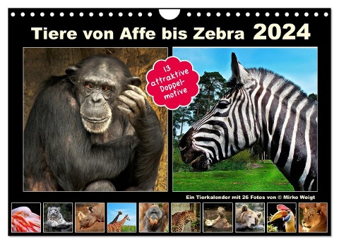 Tiere von Affe bis Zebra 2024 (Wandkalender 2024 DIN A4 quer), CALVENDO Monatskalender - Hamburg Mirko Weigt