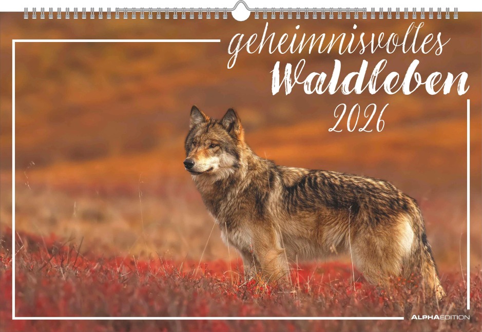 Geheimnisvolles Waldleben 2026 - Bildkalender 49,5x33 cm - Tiere und Pflanzen in unseren heimischen Wäldern - Wandkalender - Wandplaner - Tierkalender - 