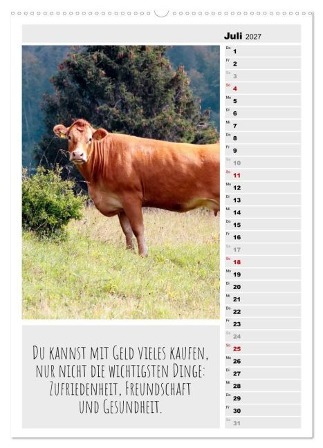 InsideView 11