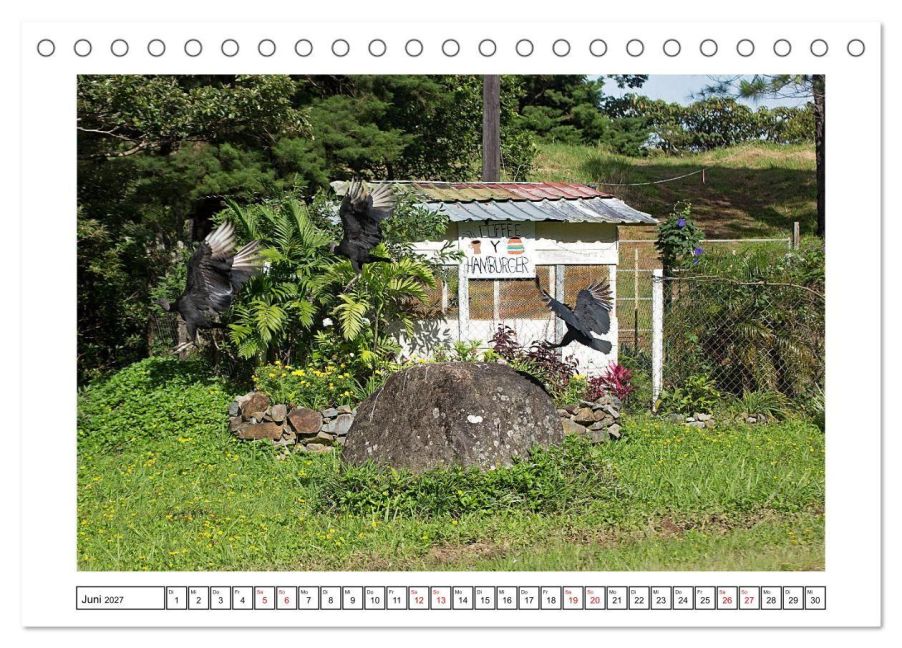 InsideView 11