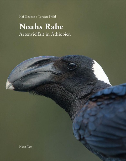 Noahs Rabe - Kai Gedeon