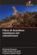 Cover-Bild zum Titel 'Fibre di Acanthus montanus nel calcestruzzo' von 'Braimah Kassum, Yalley Peter Paa-Kofi, Twumasi Opoku Ware'