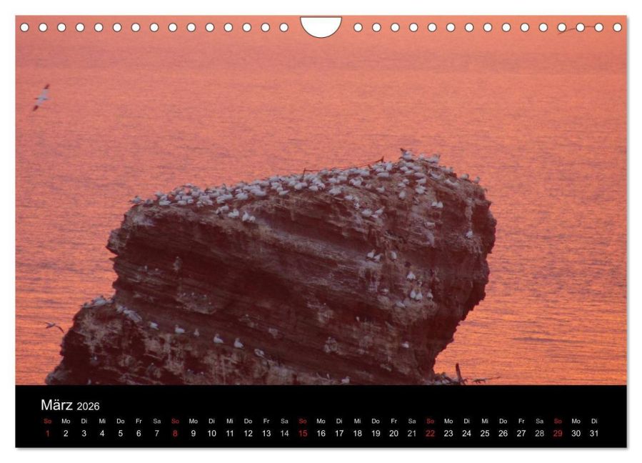 InsideView 8