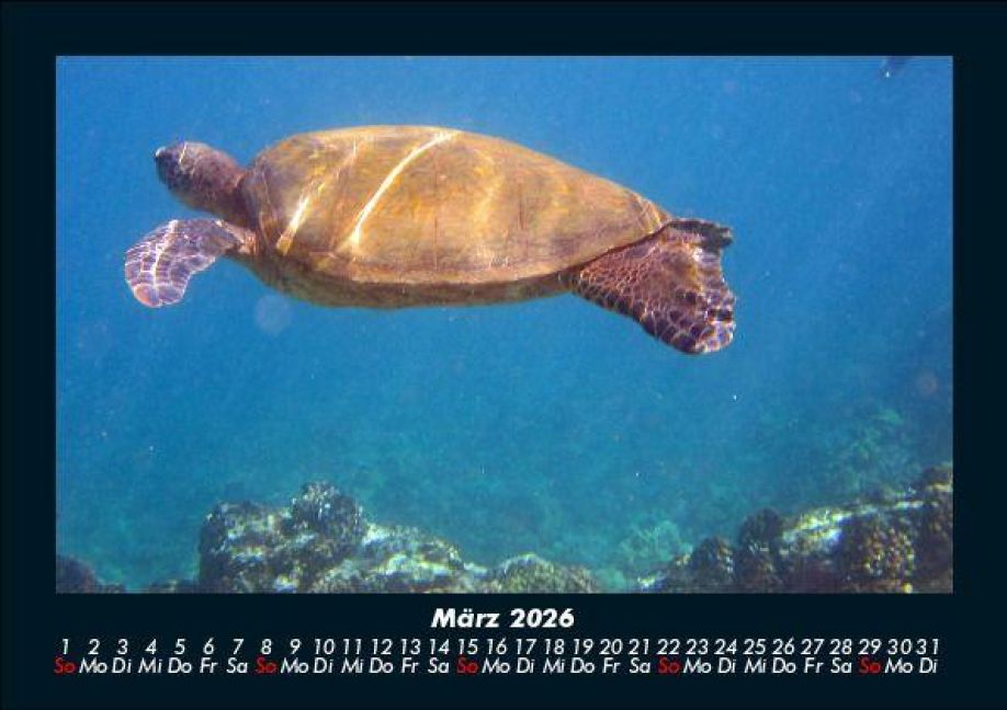InsideView 7