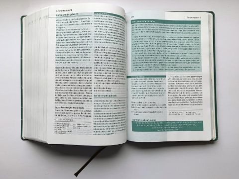 InsideView 2