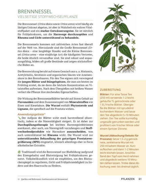 InsideView 11