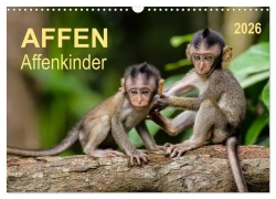 Affen - Affenkinder (Wandkalender 2026 DIN A3 quer), CALVENDO Monatskalender - Peter Roder